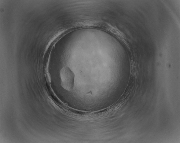 X0000070190012200605301324