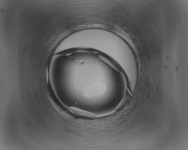 X0000070190013200605301324