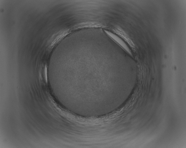 X0000070190014200605301324