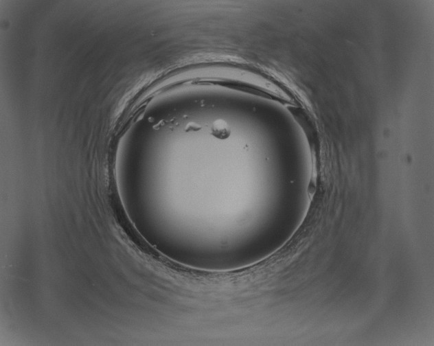 X0000070190015200605301324