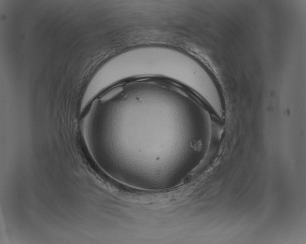 X0000070190017200605301324