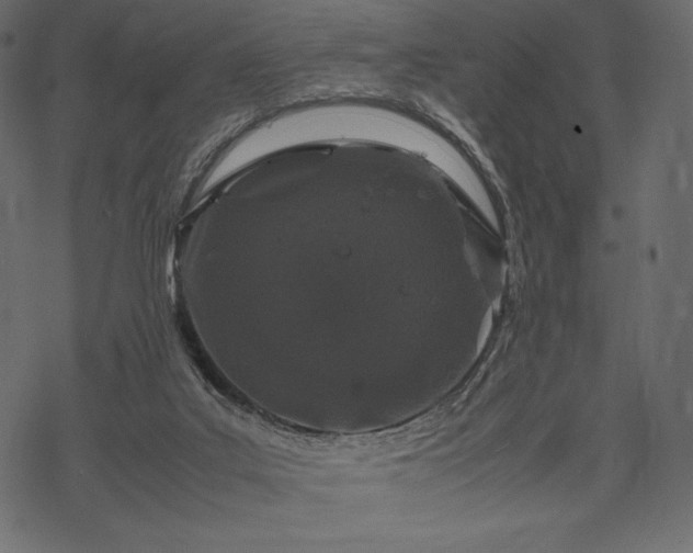 X0000070190019200605301324