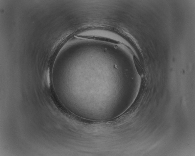 X0000070190020200605301324