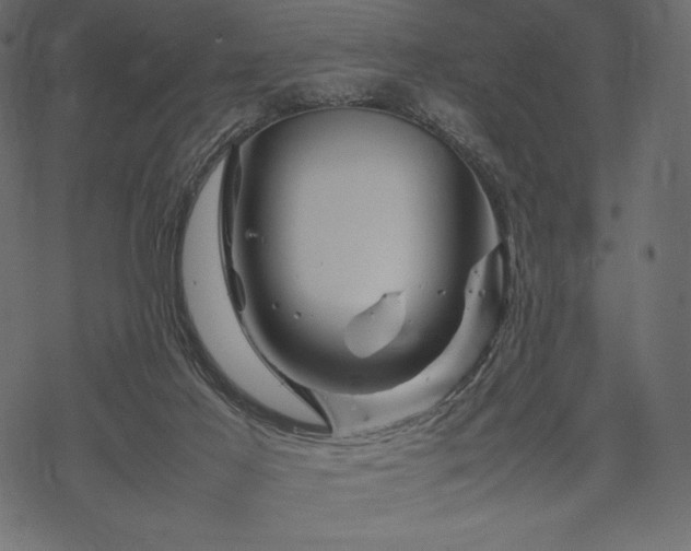 X0000070190021200605301324