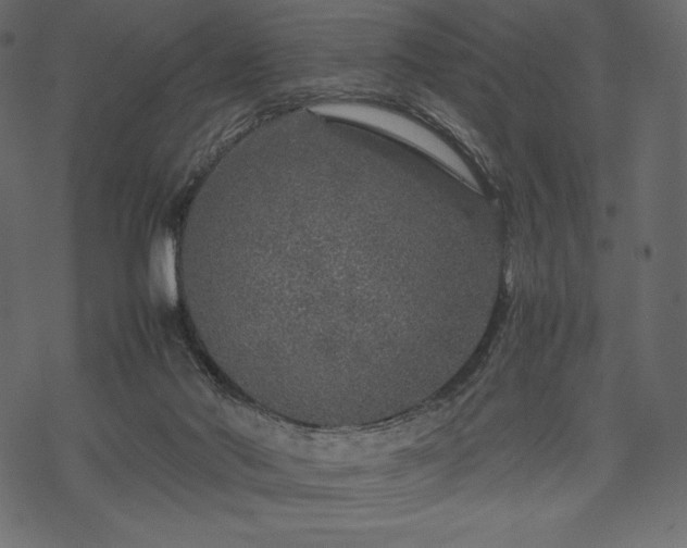 X0000070190022200605301324