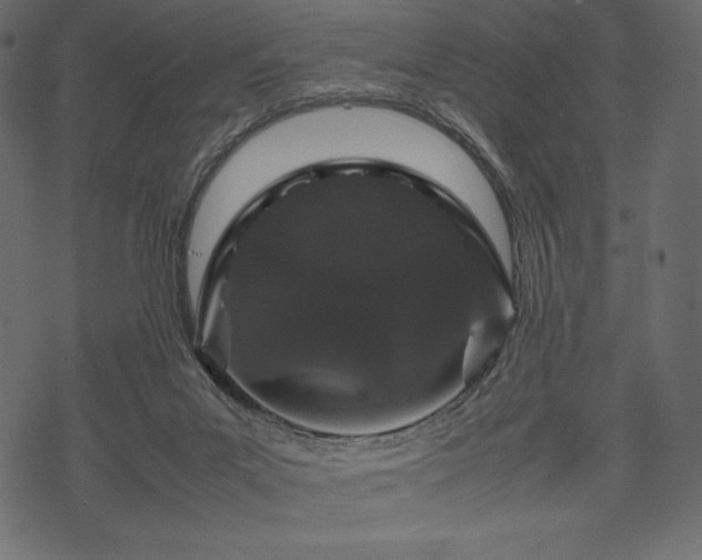 X0000070190023200605301324