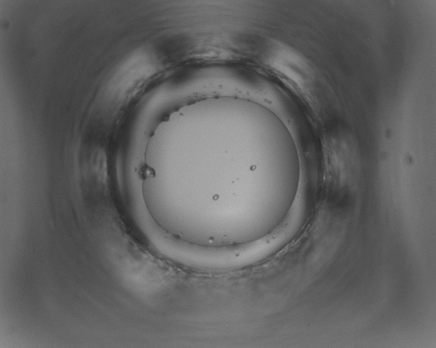 X0000070190025200605301324