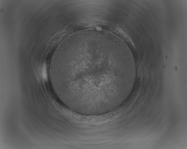 X0000070190026200605301324