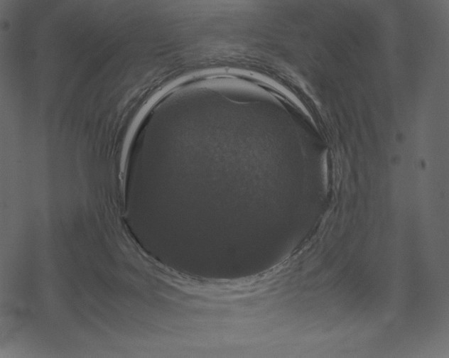 X0000070190027200605301324