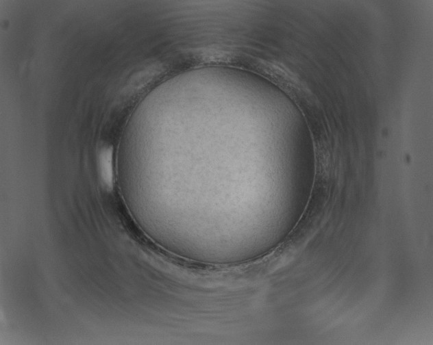 X0000070190028200605301324