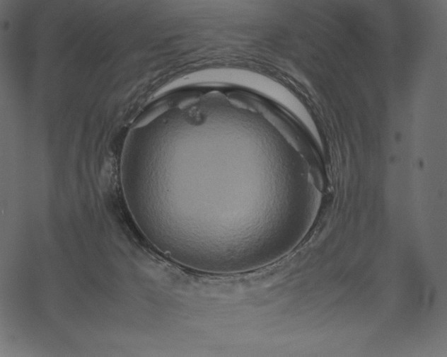 X0000070190029200605301324