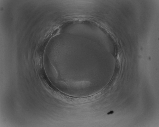 X0000070190031200605301324