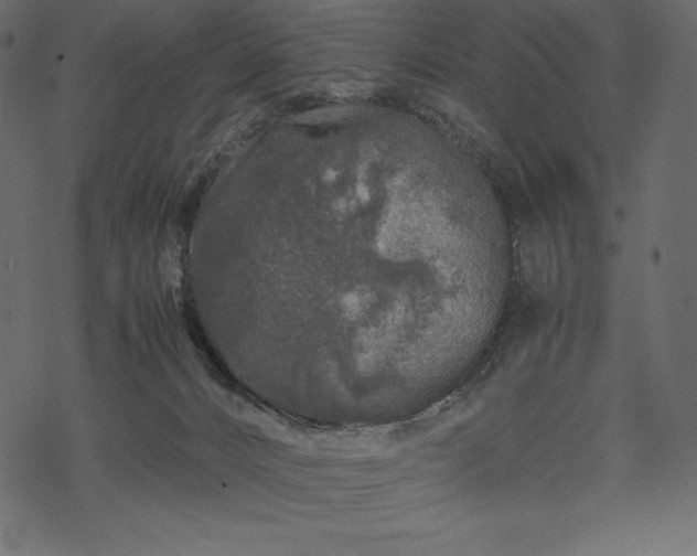 X0000070190032200605301324