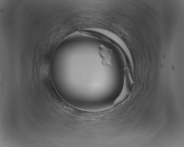 X0000070190033200605301324