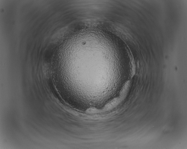 X0000070190034200605301324