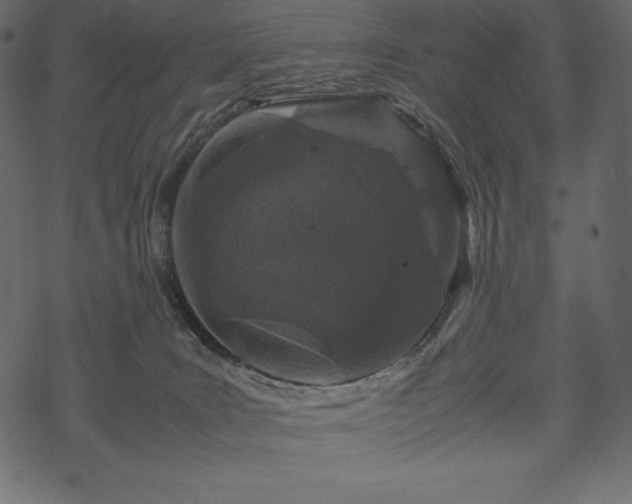 X0000070190035200605301324