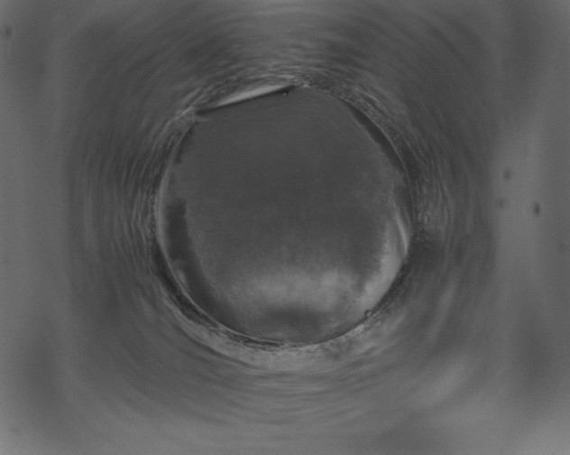 X0000070190036200605301324