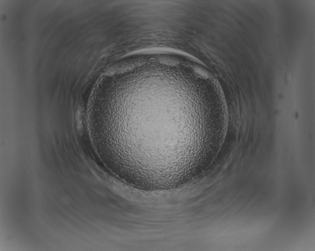 X0000070190038200605301323