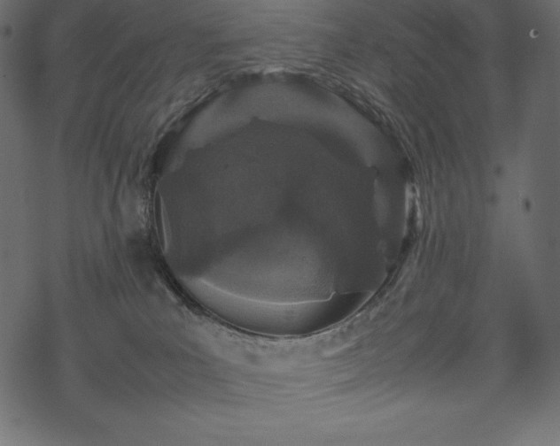 X0000070190039200605301323