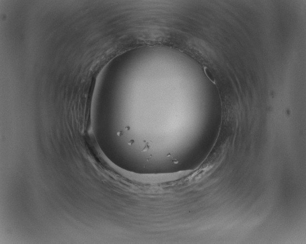 X0000070190040200605301323