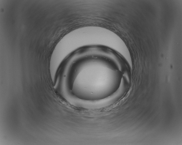 X0000070190041200605301323