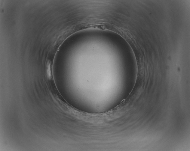 X0000070190042200605301323