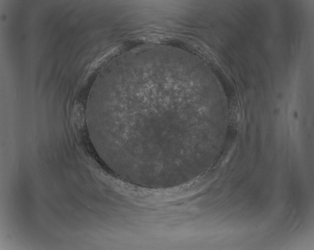 X0000070190043200605301323