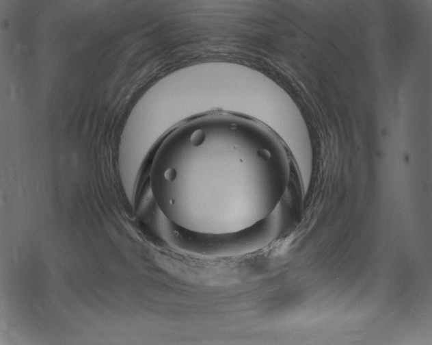 X0000070190044200605301323