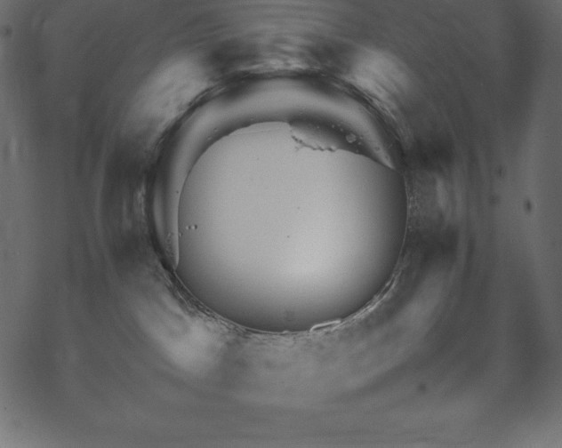 X0000070190045200605301323