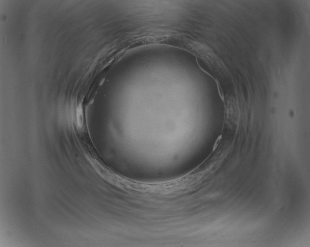 X0000070190046200605301323