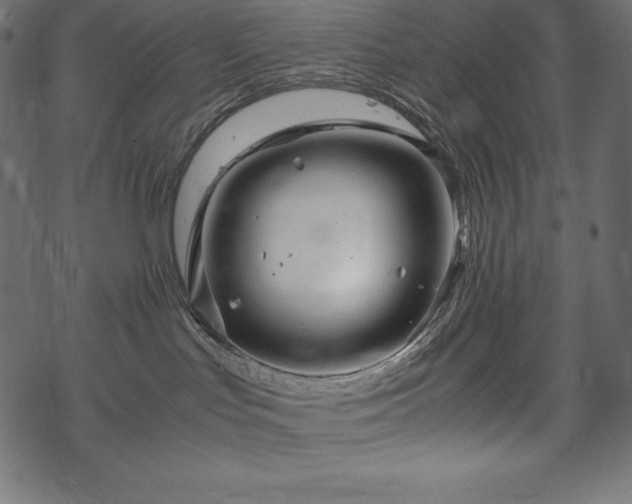 X0000070190047200605301323