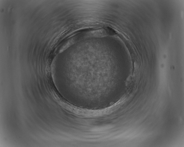 X0000070190048200605301323