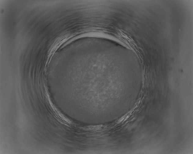 X0000070190049200605301323