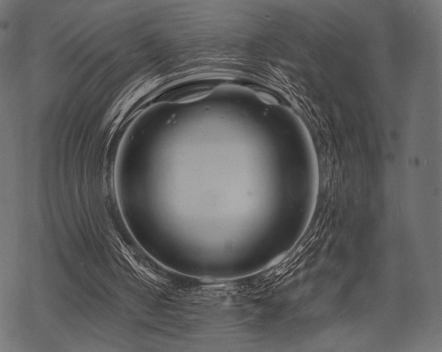 X0000070190050200605301323