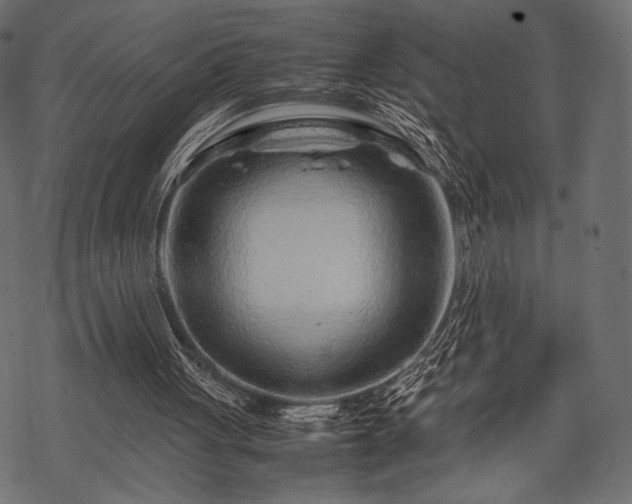 X0000070190051200605301323