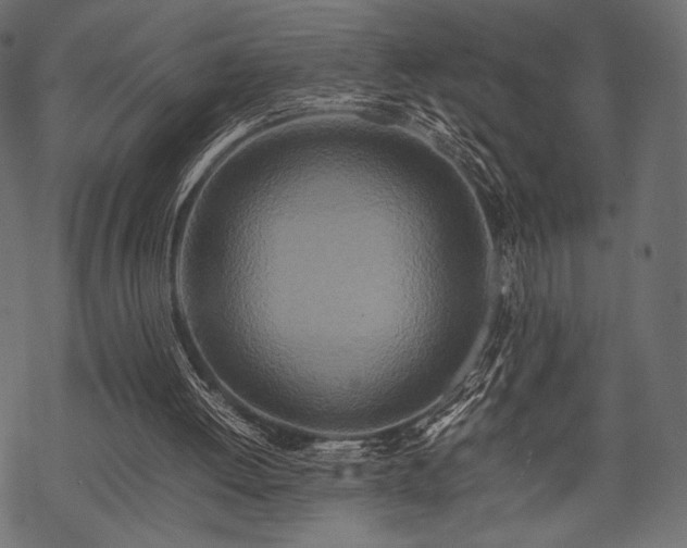 X0000070190052200605301323