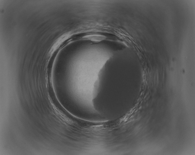 X0000070190054200605301323