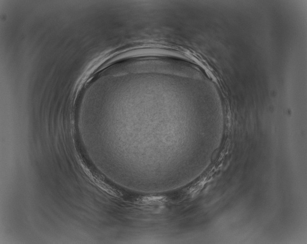 X0000070190055200605301323