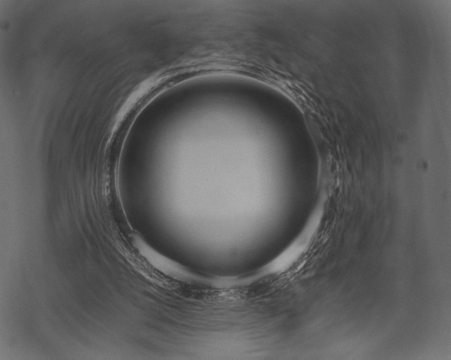 X0000070190056200605301323