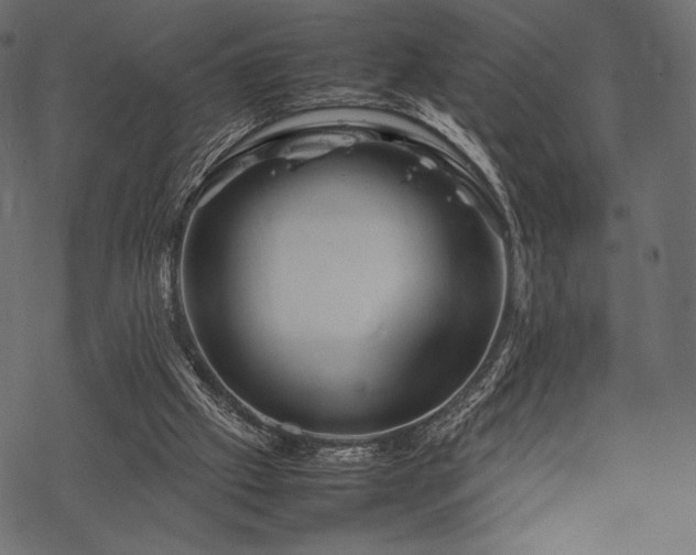 X0000070190057200605301323