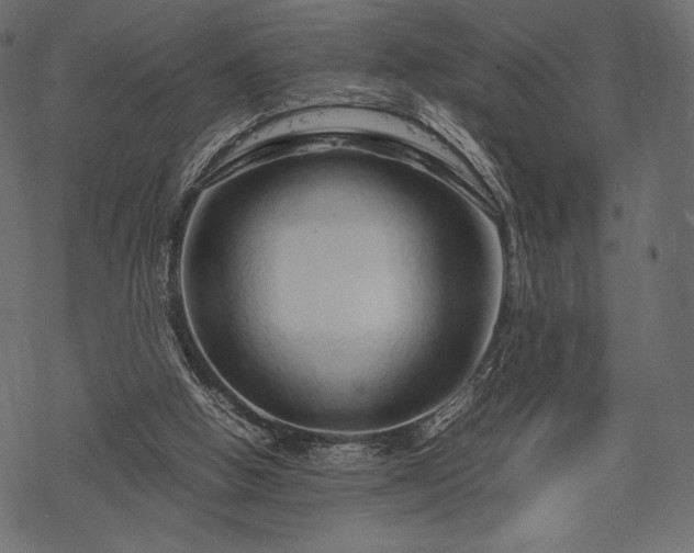 X0000070190058200605301323