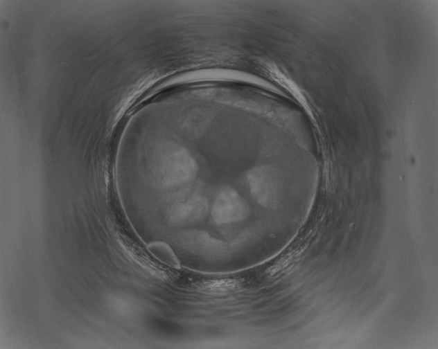 X0000070190059200605301323