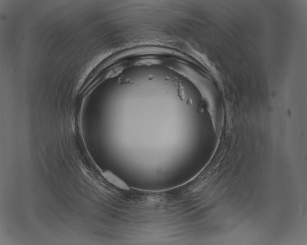 X0000070190060200605301323