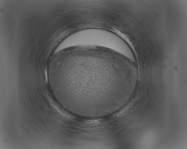 X0000070190061200605301323