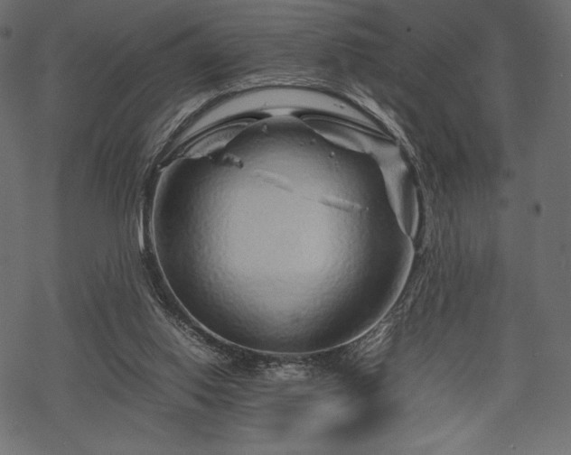 X0000070190062200605301323