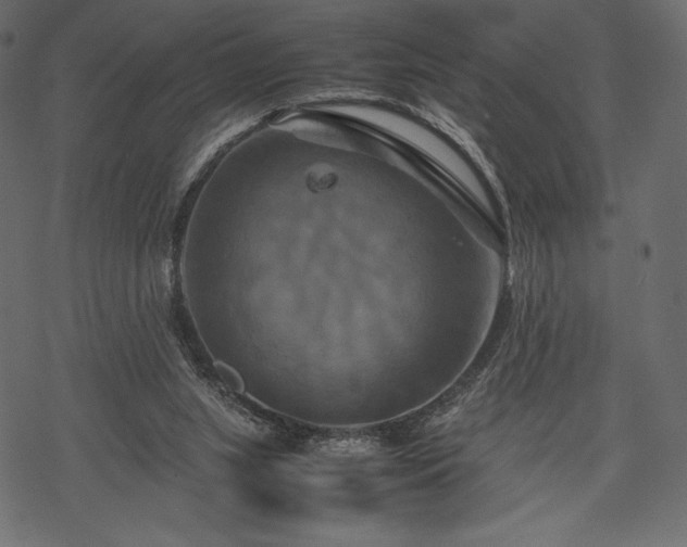 X0000070190063200605301323