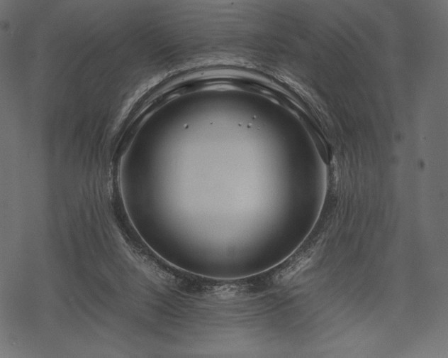 X0000070190064200605301323