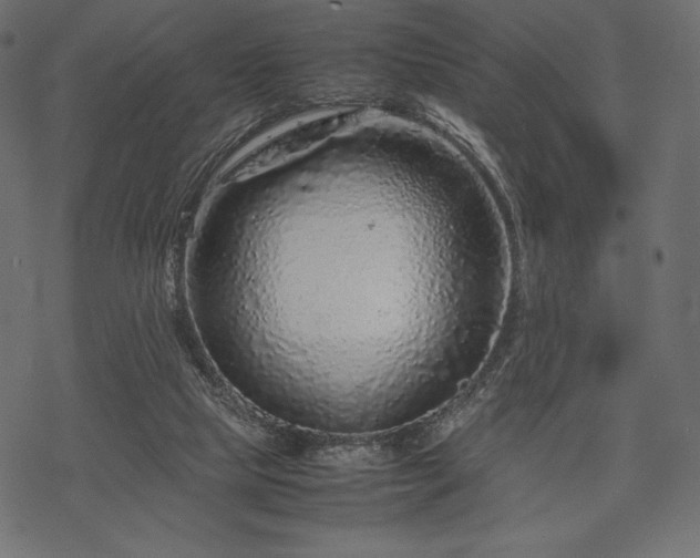 X0000070190065200605301323