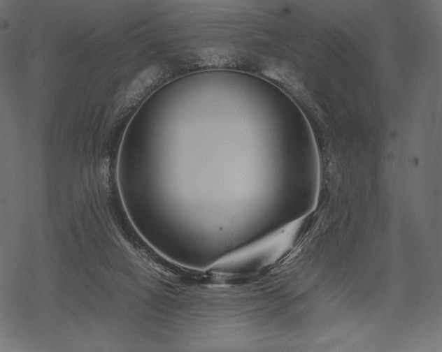 X0000070190066200605301323