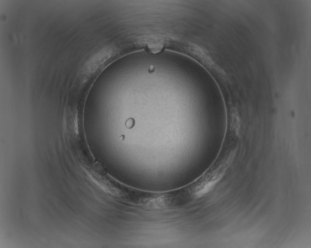 X0000070190068200605301323